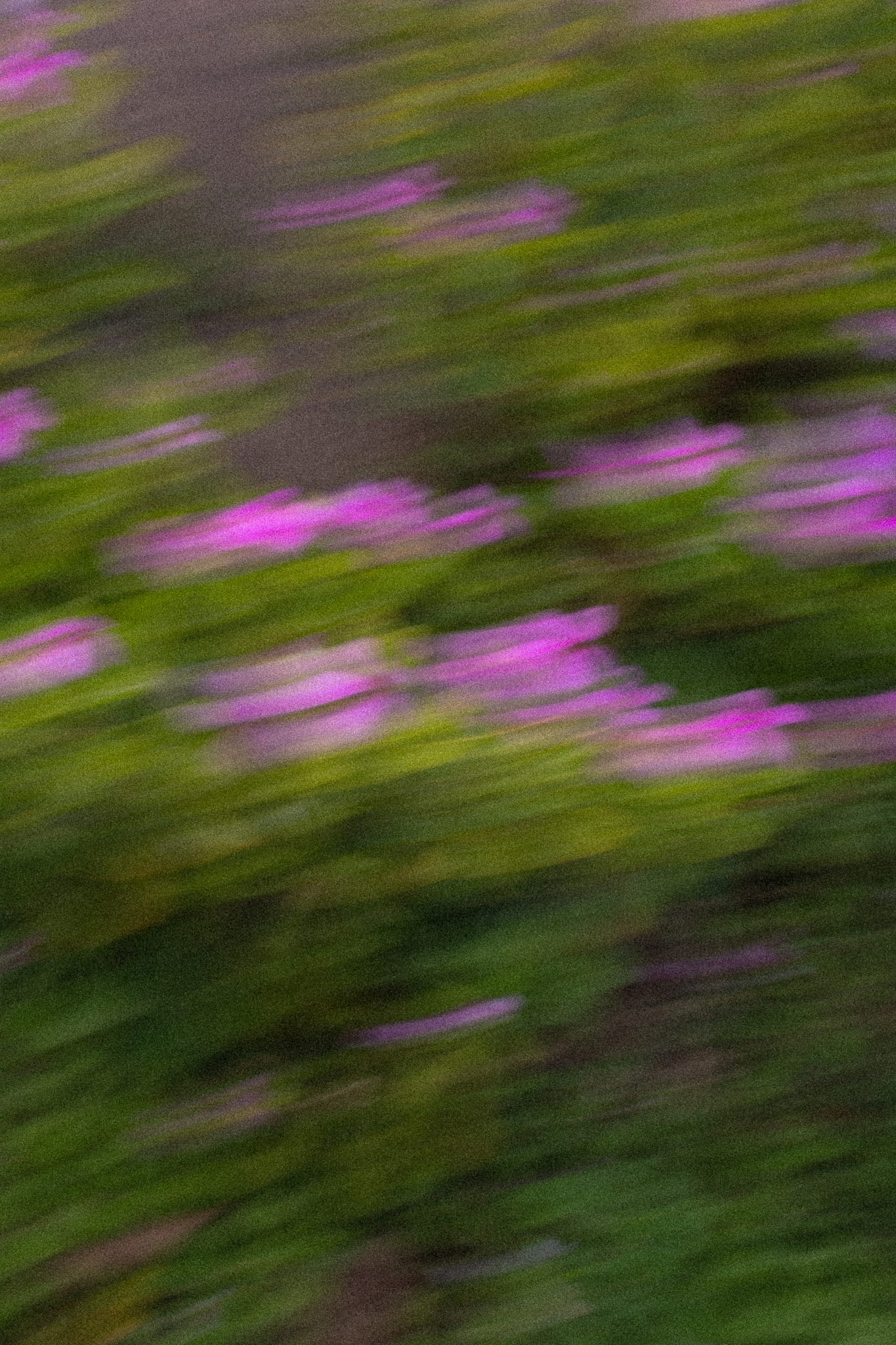 Slow Shutter