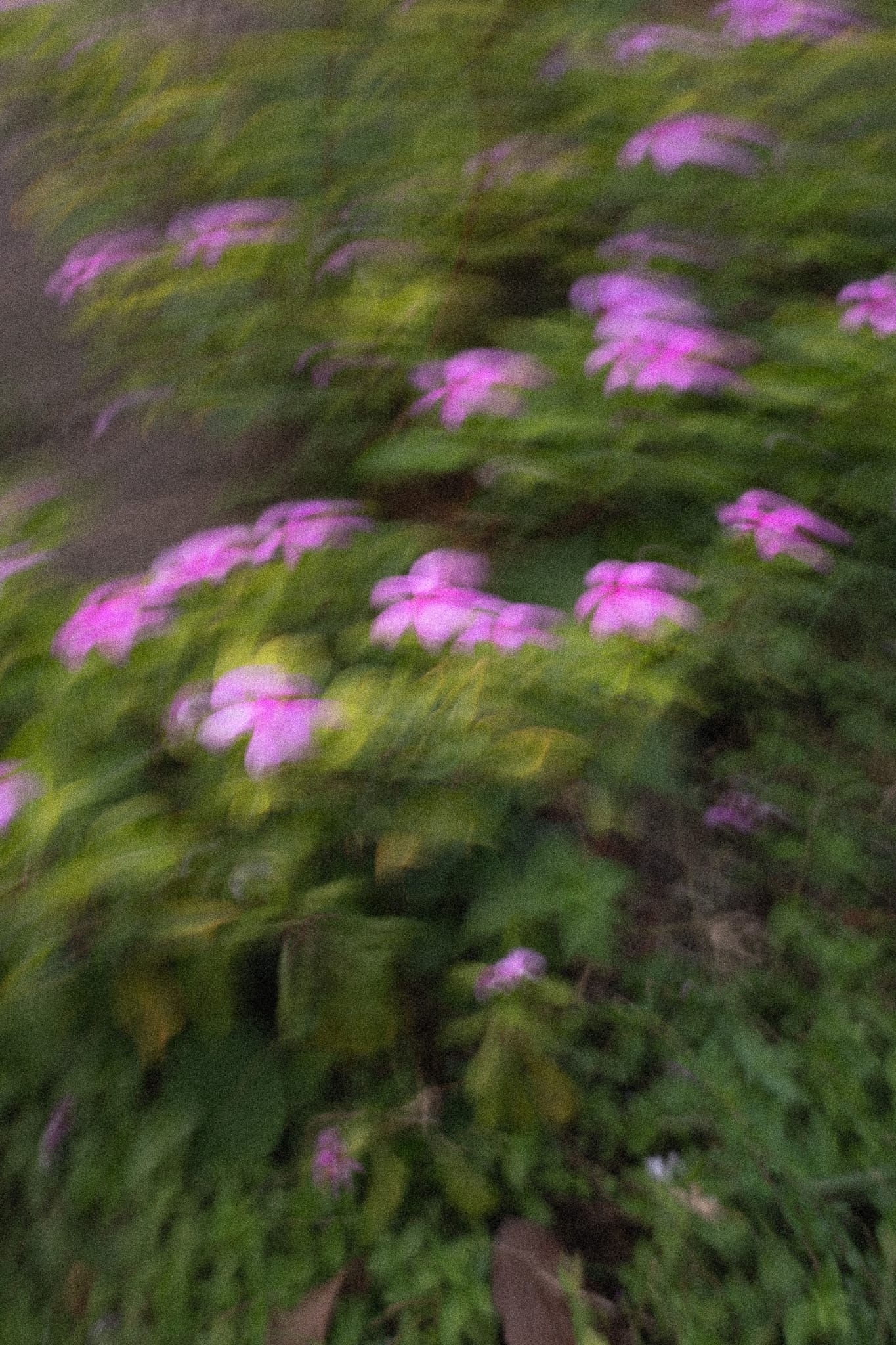 Slow Shutter