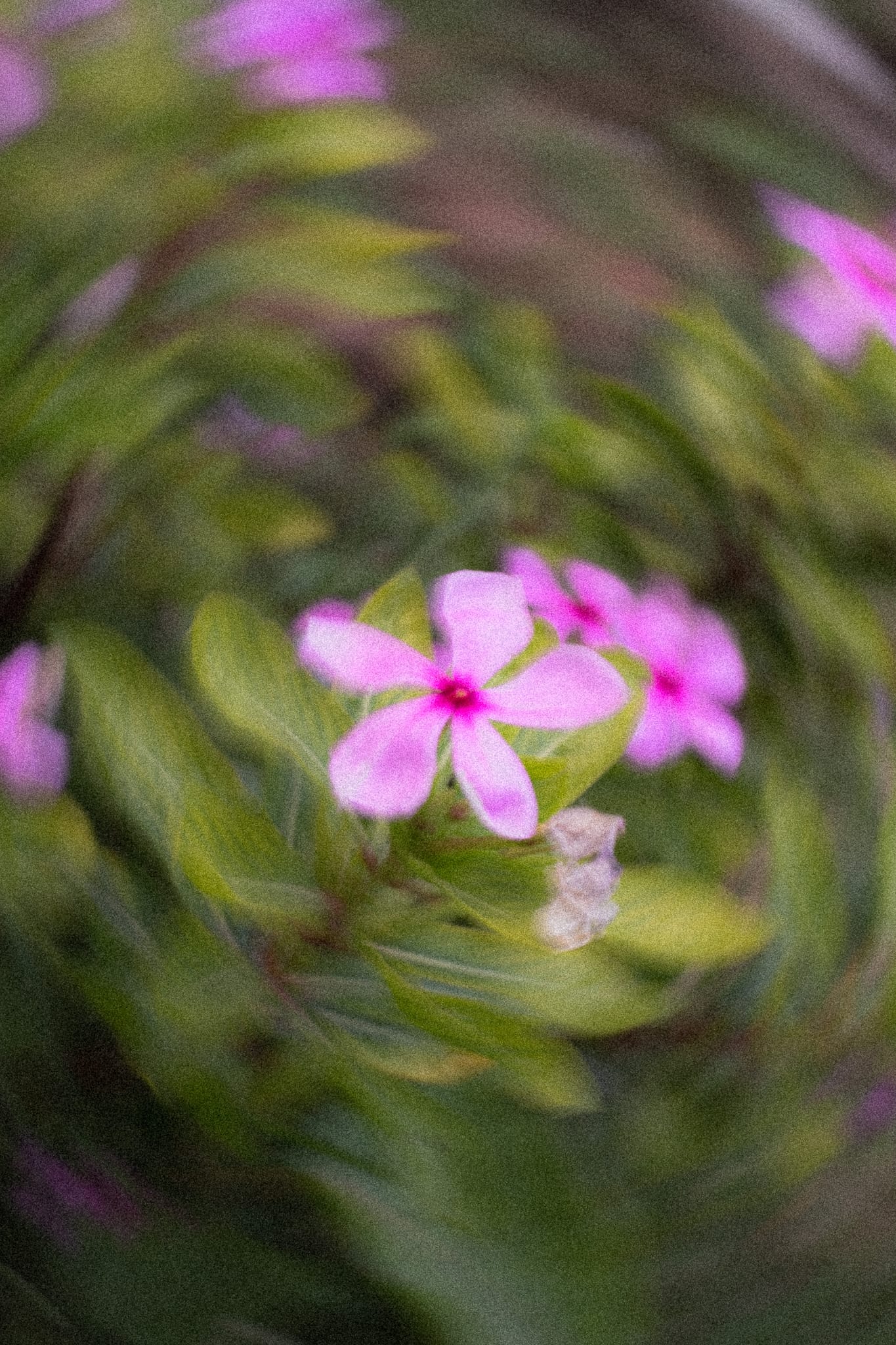 Slow Shutter